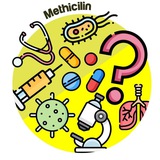 methicillin1 | Unsorted