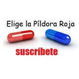 eligelapildorarojaoficial | Unsorted