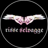 risseselvagge | Unsorted