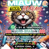 miauwtaxibrabantnl | Unsorted