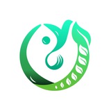 sirang_studio | Unsorted
