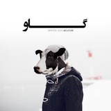 cooow | Unsorted