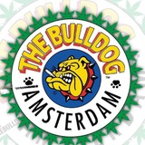 bulldogisrael10 | Unsorted