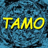 tamo_mindcontrol | Unsorted