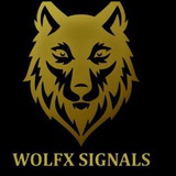 WOLF FOREX SIGNALS FREE