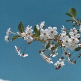 yasamanmatn | Unsorted