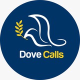 dovecalls101 | Unsorted