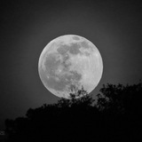 mang_meriwan | Unsorted