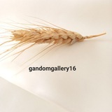 gandomgallery16 | Unsorted