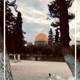 alshatha_2001 | Unsorted