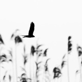 aalwhebey | Unsorted