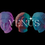 thevenusgame | Unsorted