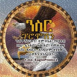 eaglepromo1 | Unsorted