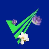 vpnbartar2025 | Unsorted