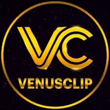 venusclip_channel | Unsorted