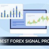 forex_signals_providers1 | Cryptocurrency