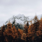 picwordcod | Unsorted
