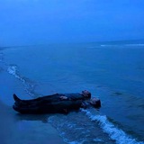 gravelines_hanifa | Unsorted