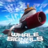 Whales signals 100X