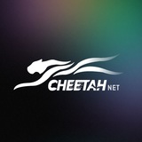 cheetahnet | Unsorted