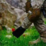 z_6_r_0 | Неотсортированное