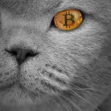 its_crypto_cat | Cryptocurrency