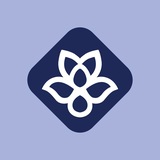 rayan_ai_course | Unsorted