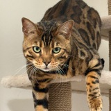 giftnftbuy888 | Unsorted