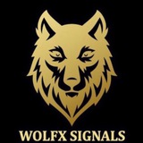 wolfxsignals_01 | Unsorted