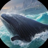 bigwhalescalls1 | Unsorted