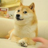 ownthedoge | Unsorted