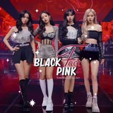 blackpink4_fact | Unsorted