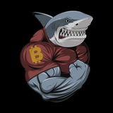 cryptosharks_news | Cryptocurrency