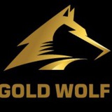 gold wolf, scalp signals