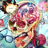 medicalsscience | Unsorted