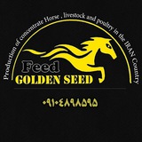 feedgoldenseed | Unsorted