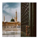 koni_sahabia | Unsorted
