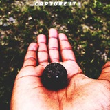 captureitt | Unsorted