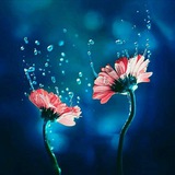 chanellaramesh | Unsorted