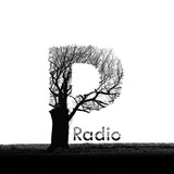 pulpradio | Неотсортированное