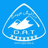 dat_ngo | Unsorted