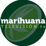 marihuanatelevision | Unsorted