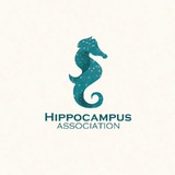 hippocampus_association | Unsorted