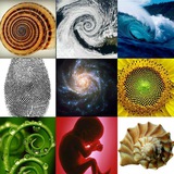 eqpedia_ir | Unsorted
