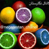 negarestan_chanel | Неотсортированное
