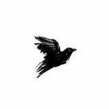 tlegramiuon | Unsorted