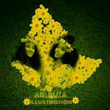 ruta_art16 | Unsorted