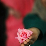 beauti27 | Unsorted