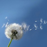 keysheaartarangizad | Unsorted