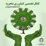 anguorshahrood | Unsorted